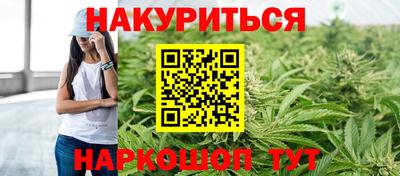стаф Будённовск
