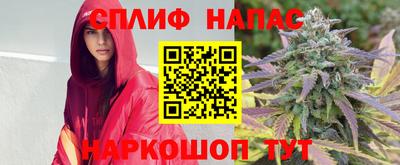стаф Будённовск