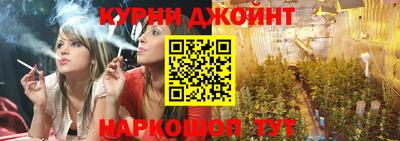 стаф Будённовск
