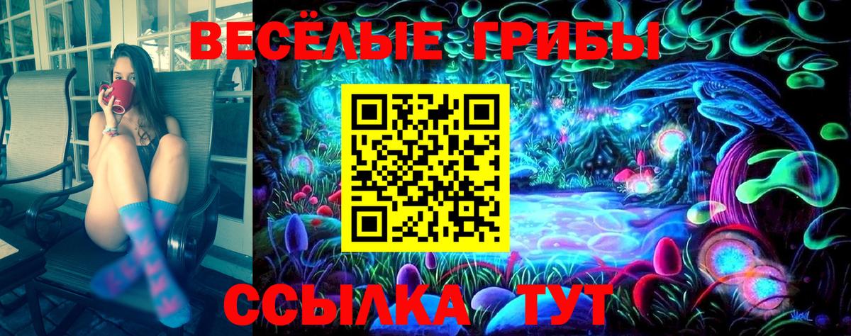 Галлюциногенные грибы Psilocybine cubensis Славгород